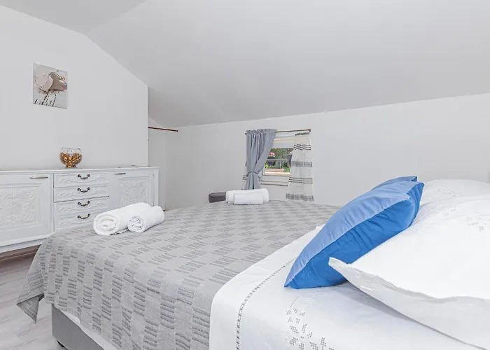 Amazing In With Wifi Oklaj